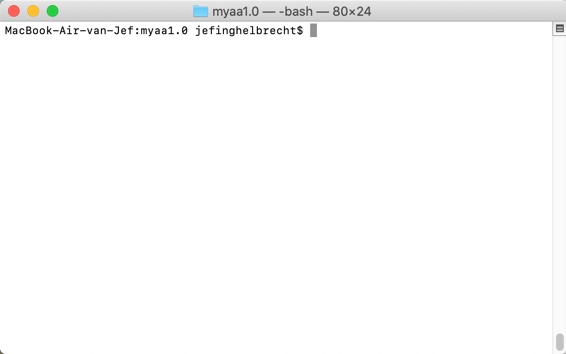 OS Terminal